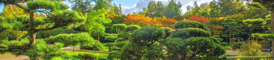 specimens and topiaries