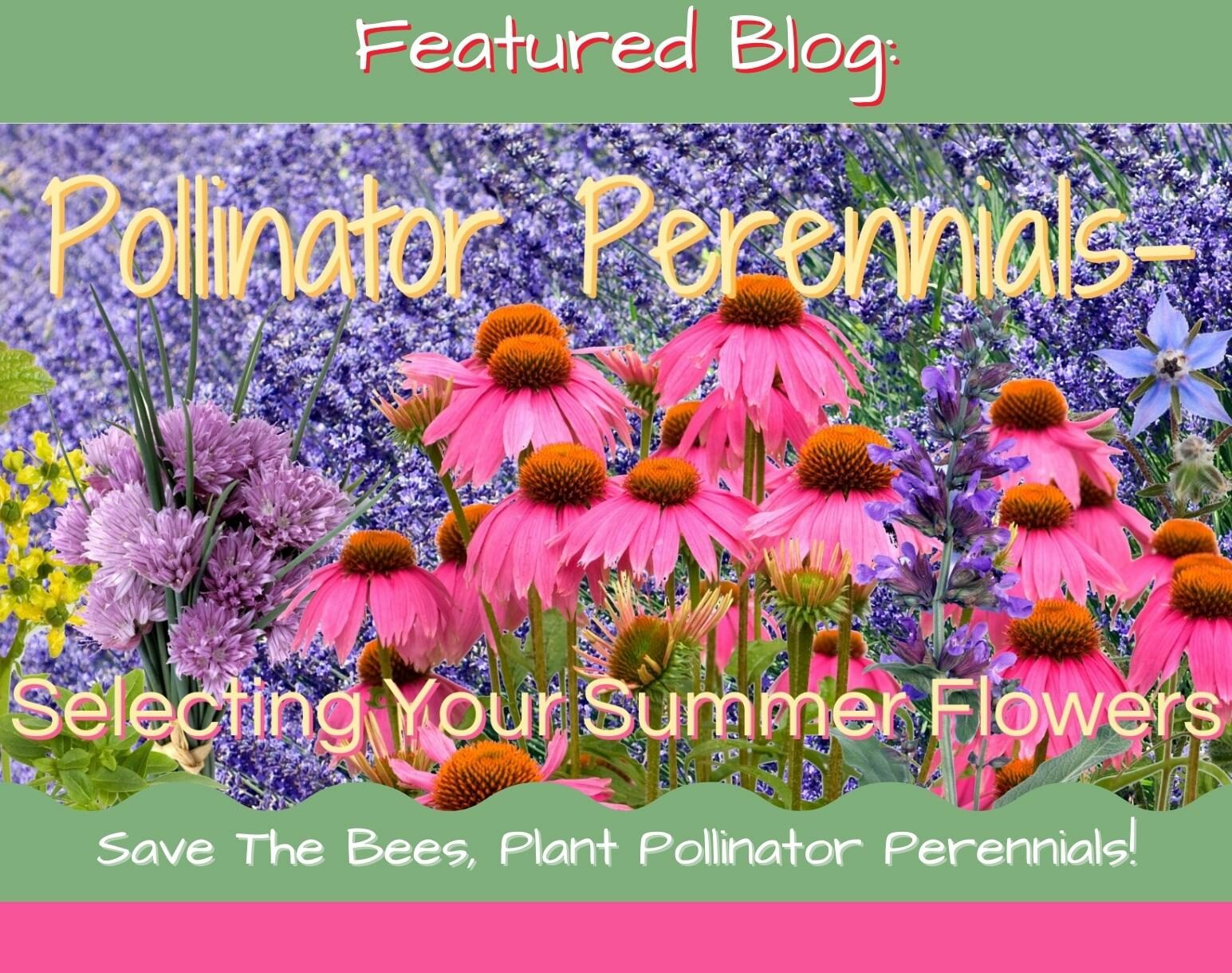 Pollinator Perennials