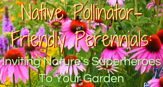 Native Pollinator-Friendly Perennials: Inviting Nature’s Superheros To Your Garden