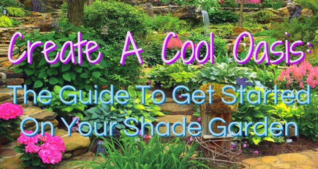 Create A Cool Oasis: The Guide To Get Started On Your Shade Garden