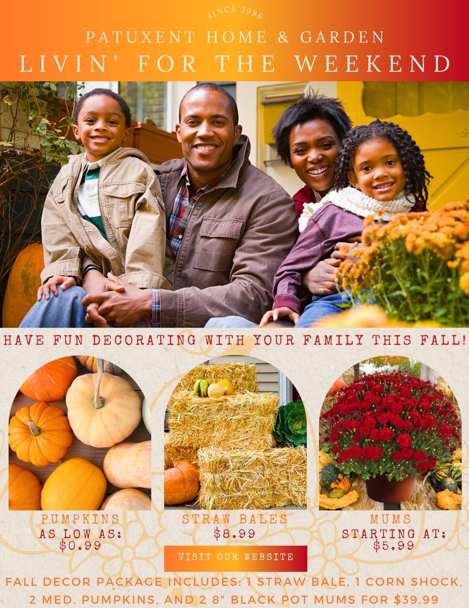 Fall Decor Package