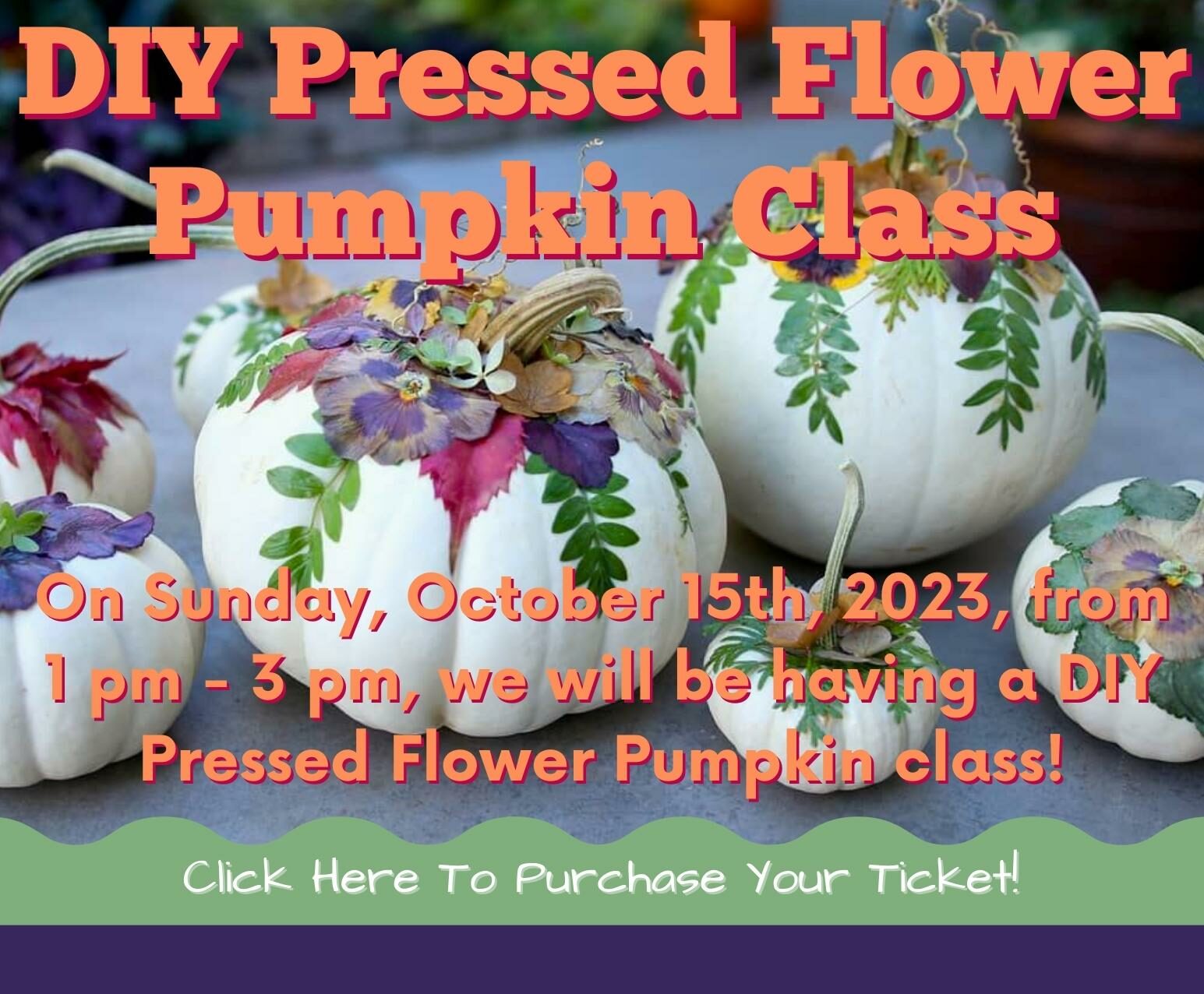 DIY Pressed Flower Pumpkin Class