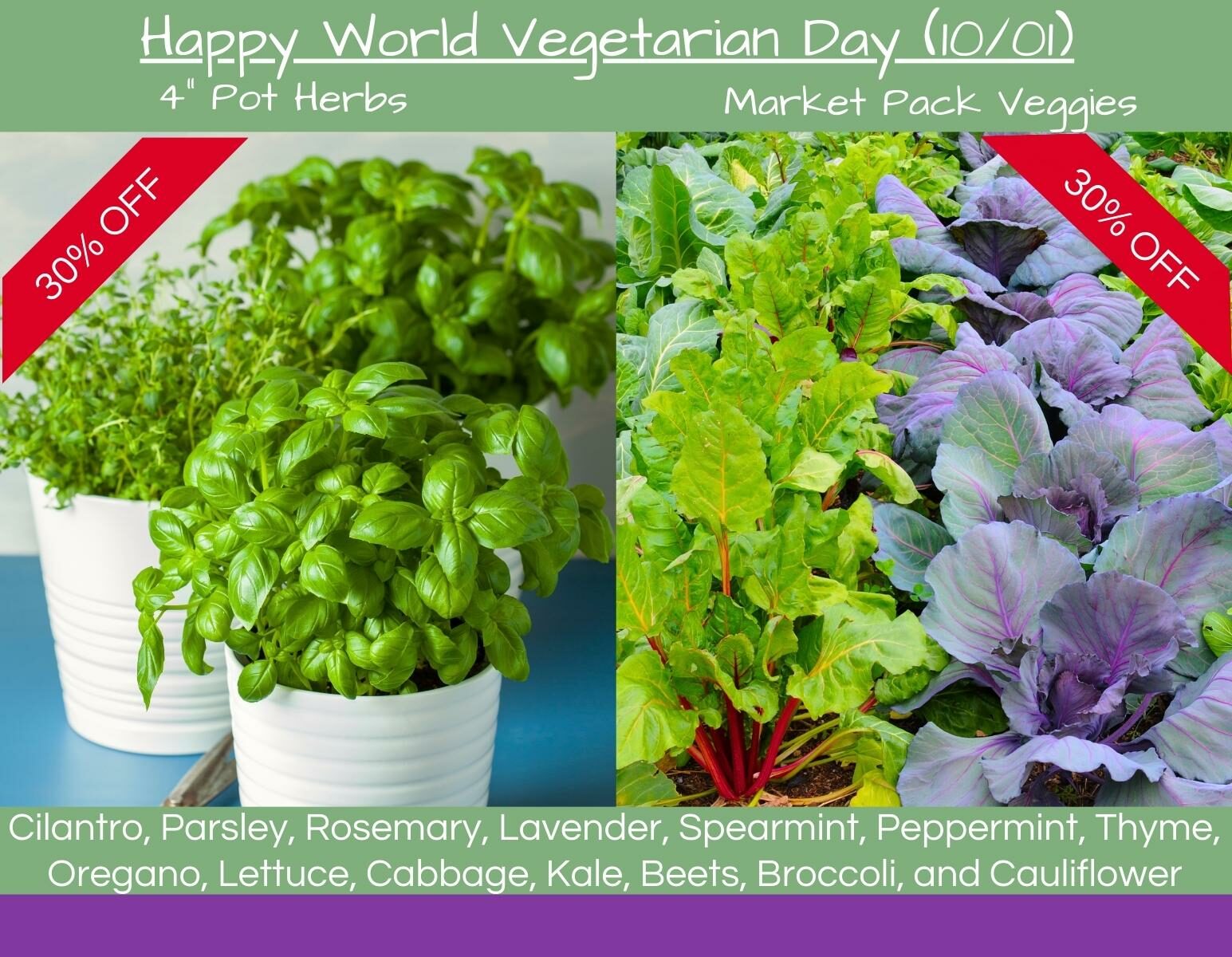 30% OFF Select Vegetables and Herbs