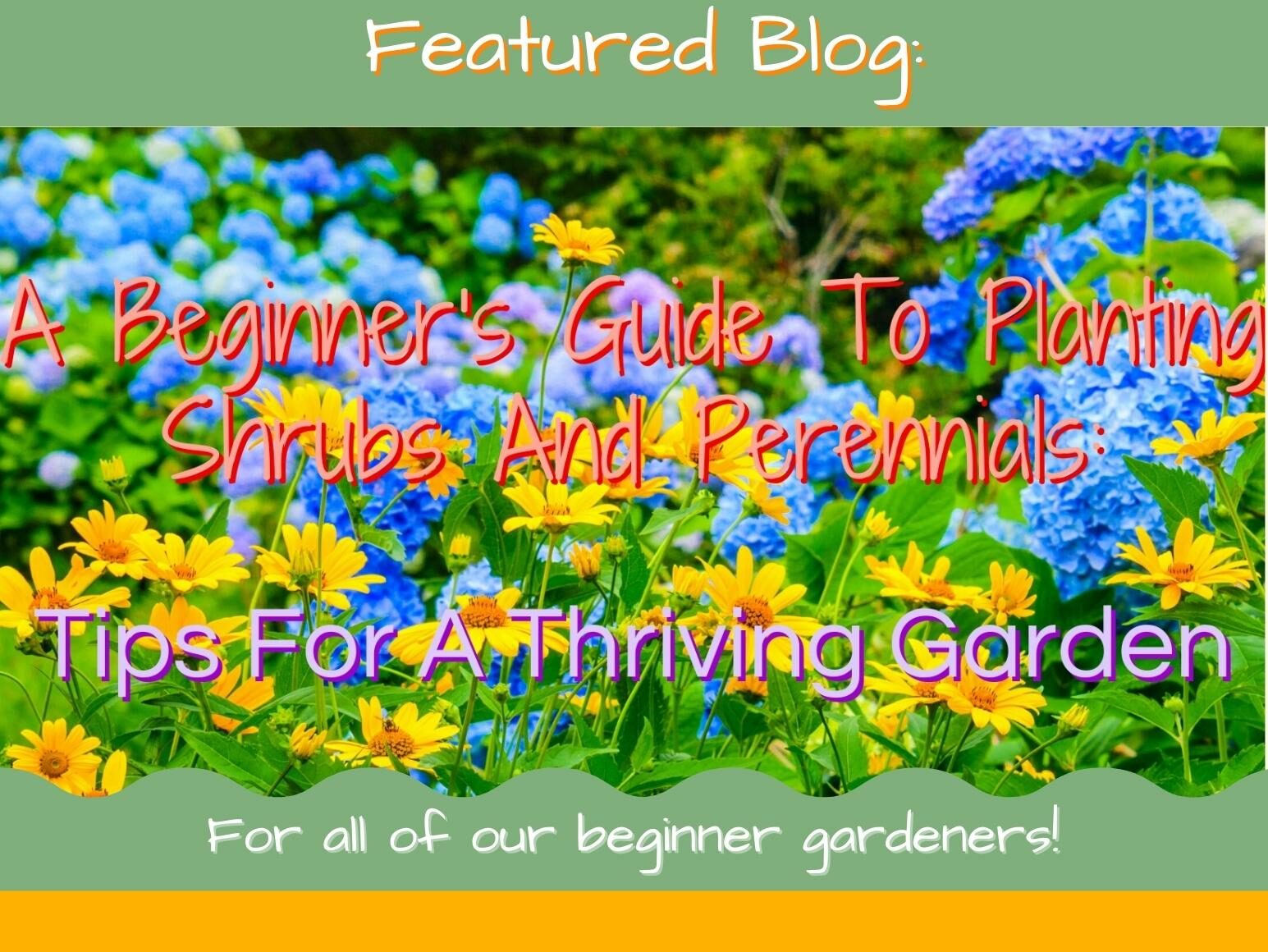 A Beginner's Guide To Planting Shrubs And Perennials