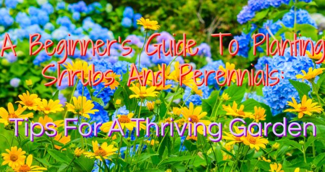 A Beginner’s Guide To Planting Shrubs And Perennials: Tips For A Thriving Garden