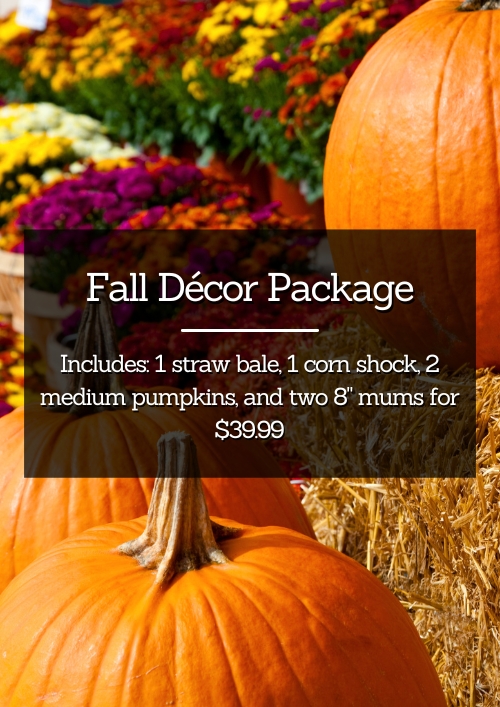 Fall Decor Package Fall Decor Package