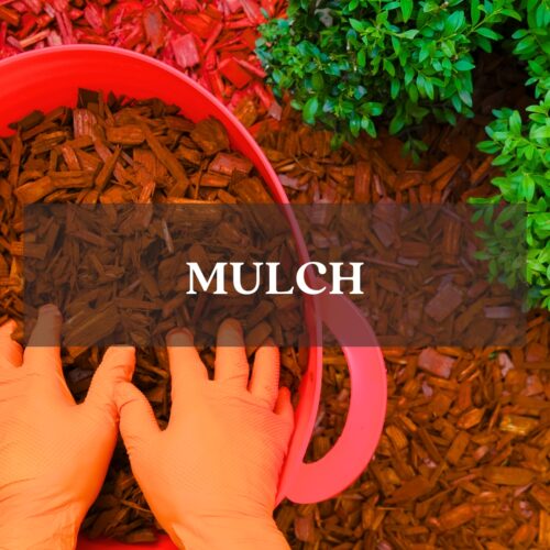 Mulch