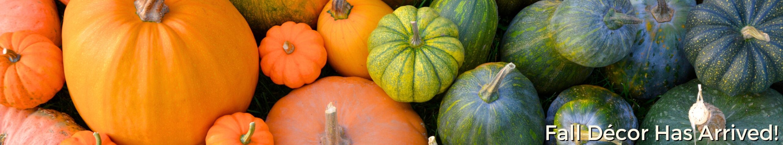 Pumpkins, gourds, and fall decor