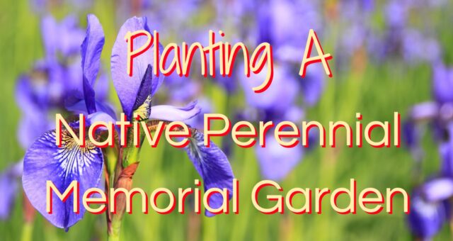 Planting A Native Perennial Memorial Garden