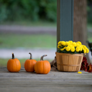 mum's on a porch