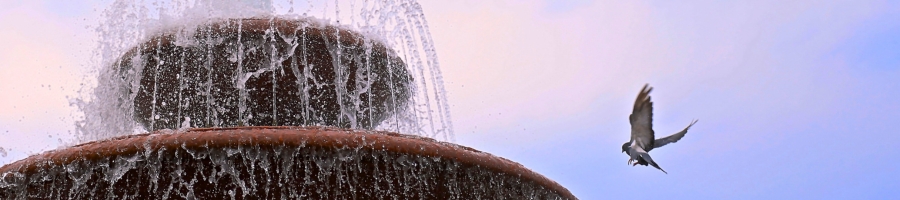 Bird With Garden Fountain Bird With Garden Fountain