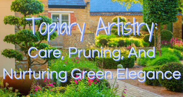 Topiary Artistry: Care, Pruning, And Nurturing Green Elegance