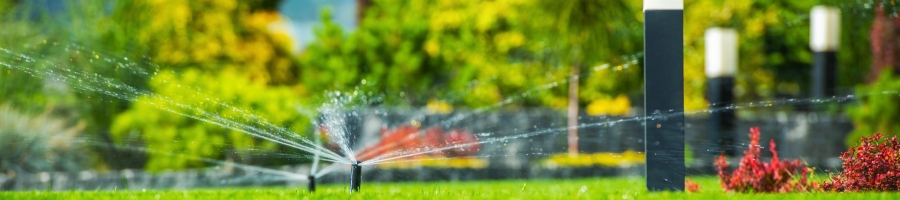 Sprinkler Watering A Garden