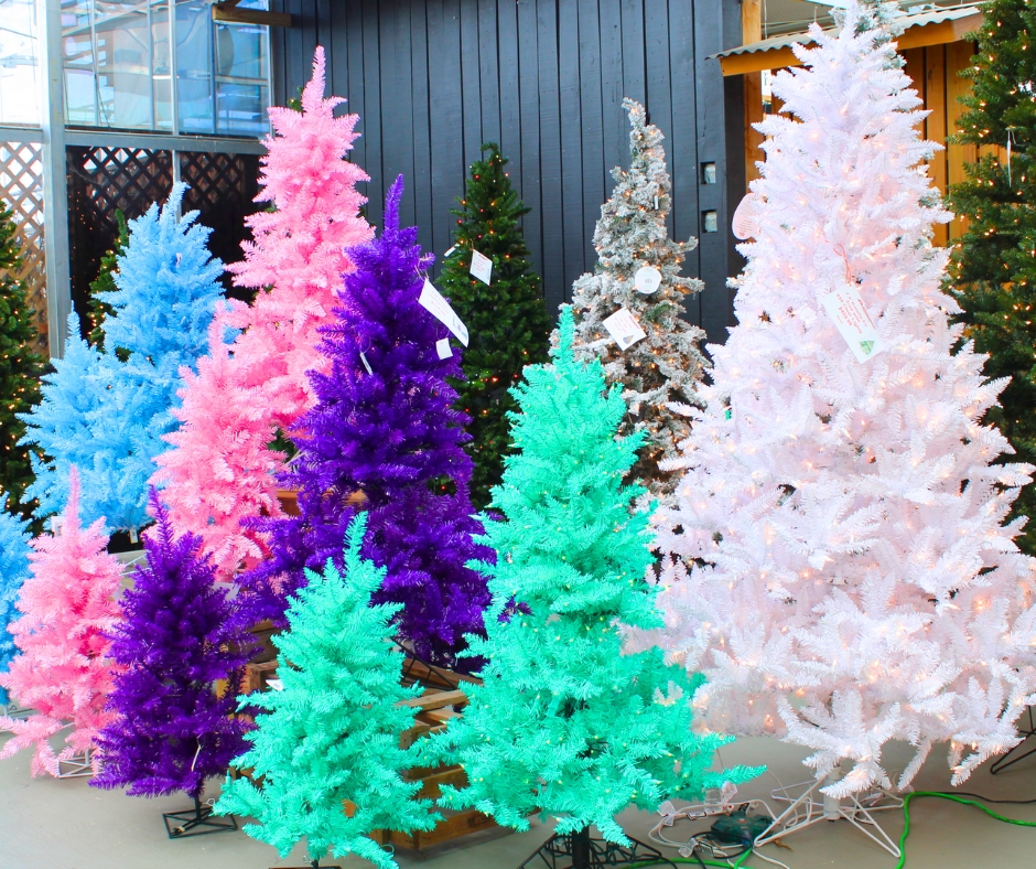 Colorful Christmas Trees