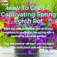 Spring Porch Pot Seminar