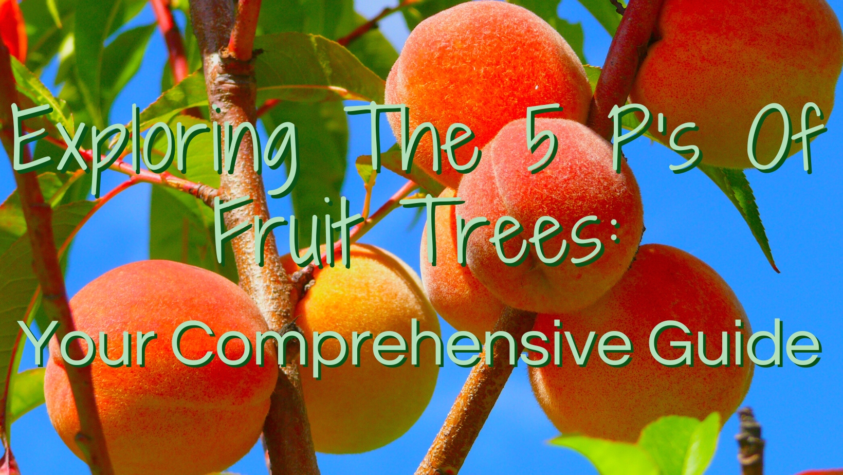 Exploring The 5 P’s Of Fruit Trees: Your Comprehensive Guide