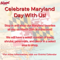 Celebrate Maryland Day With Us