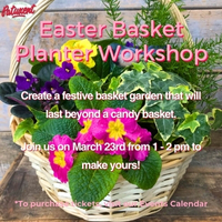 Easter Basket Planter Workshop