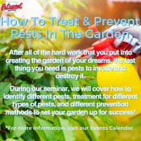 How To Treat And Prevent Pests In The Garden