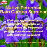 Native Perennial Rain Garden Seminar