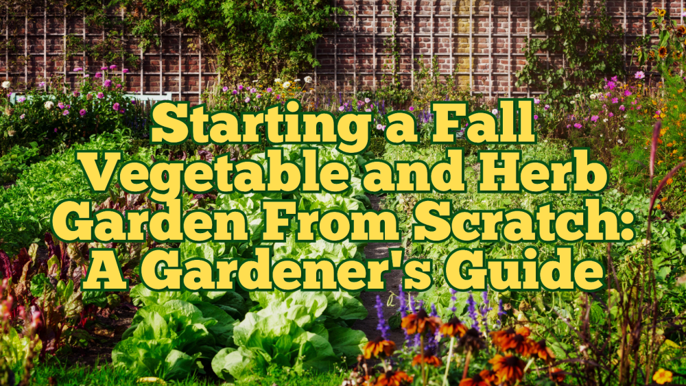 Starting A Fall Vegetable And Herb Garden From Scratch: A Gardener’s Guide
