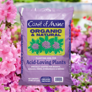 Coast of Maine® Acid-Loving Plants