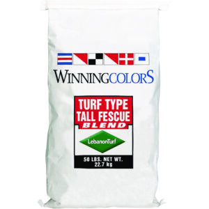 Winning Colors Fescue Blend Grass Seed