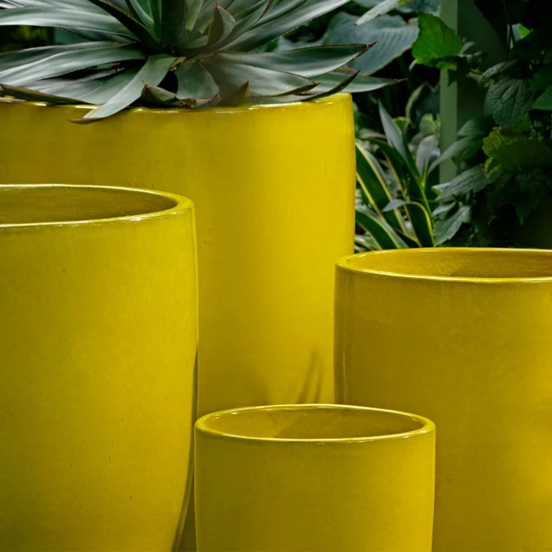 Campania Perla Planter - Limon close up