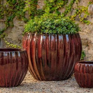 Cabernet Planter