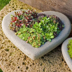 Heart Planter