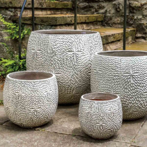 Sand Dollar Planter