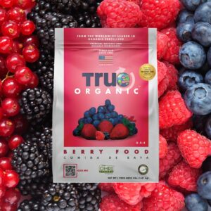 True Organic Berry Food