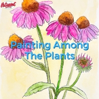 Painting Among The Plants Echinacea