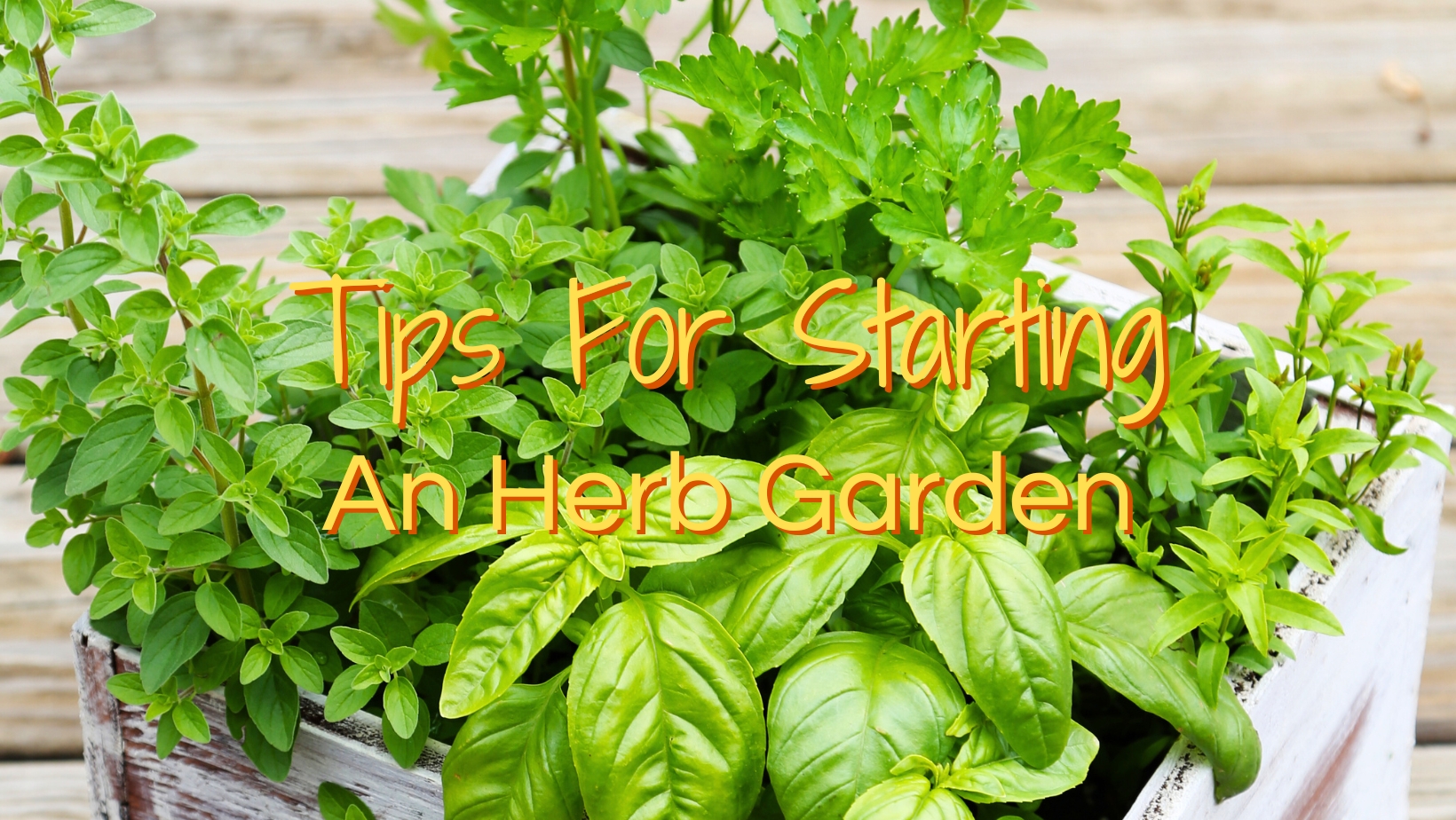 Tips For Starting An Herb Garden