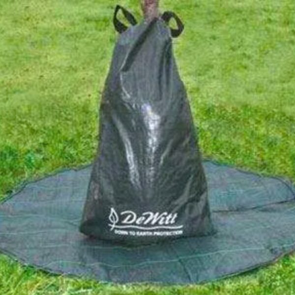Dewitt Tree Bag