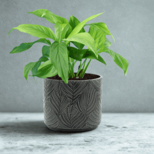Gray Leaf Embossed Cache Pot