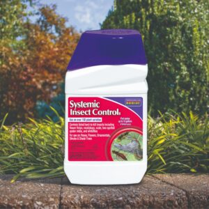 Bonide Systemic Insect Control Concentrate