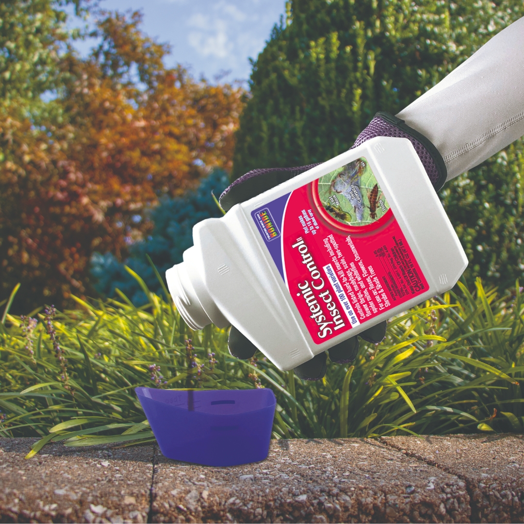 Bonide Systemic Insect Control Concentrate in a cup