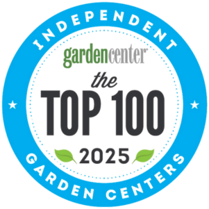 Top 100 2025