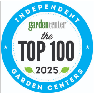 Top 100 2025
