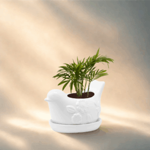 White Bird Planter with Saucer