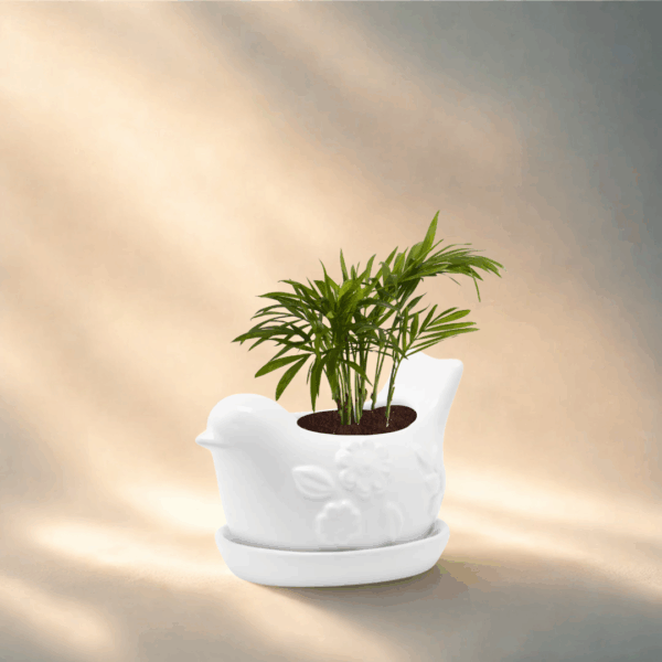 White Bird Planter with Saucer