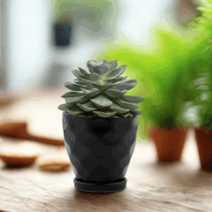 Black Dimpled Pot with Saucer