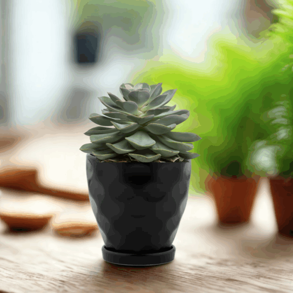 Black Dimpled Pot with Saucer