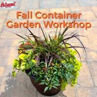 Fall Container Garden Workshop