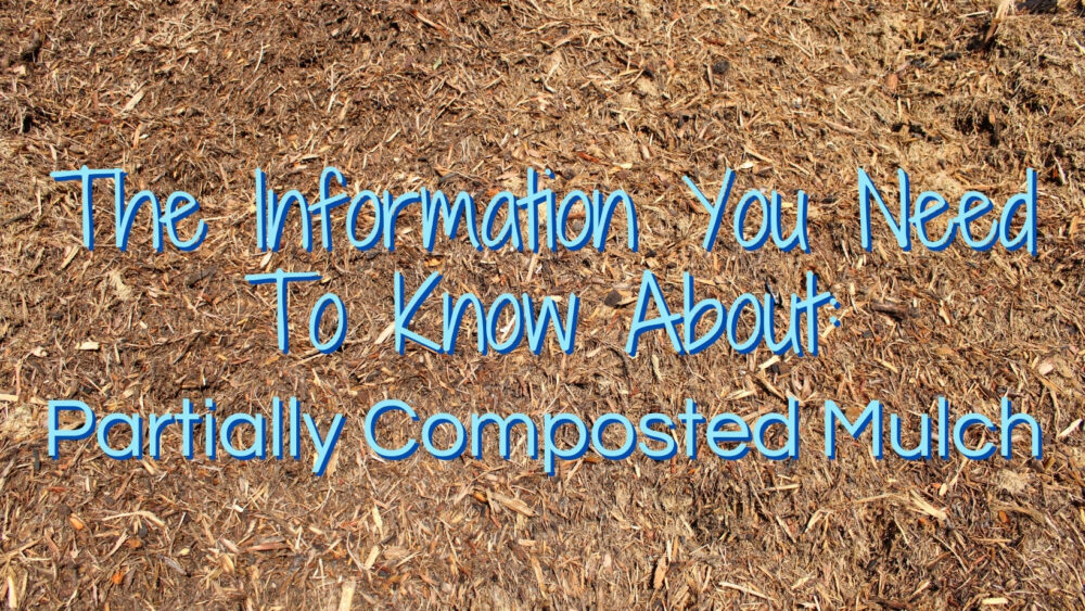 The Information You Need To Know About: Partially Composted Mulch