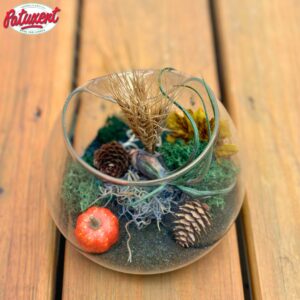 Fall Terrarium