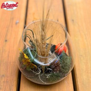 Autumn Terrarium