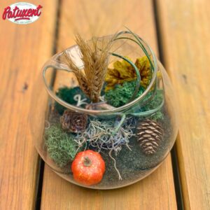 Autumn Indoor Plant Arrangement