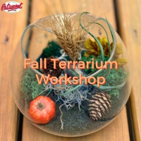 Fall Terrarium Workshop